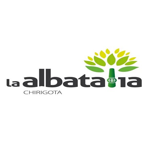 Contacto: info@chirigotalaalbatalia.com

Síguenos también en:
Instagram: @chirigotalaalbatalia