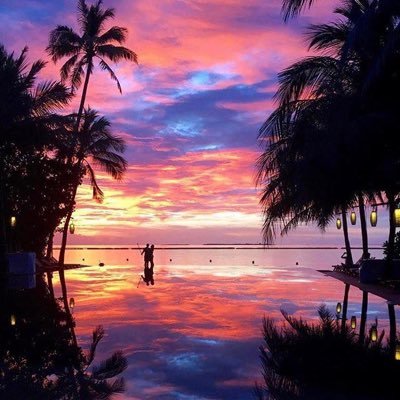 Dorenalozoya1's profile picture. 