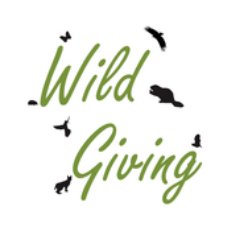 Wildlife around the world is in trouble. There are many organisations who need funds to help save species and wild places. You can help by donating.