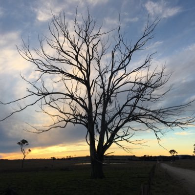 Remote sensing scientist, laser scanning enthusiast, and Python programmer - exploring new ways to observe the earth. PhD in Terrestrial Laser Scanning.