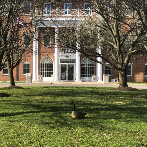 BCCAtFreehold's profile picture. Education, Community Development, Student Life and Activities