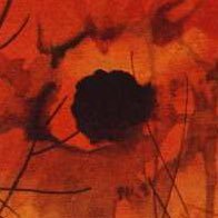 abbedonissan's profile picture. "Toutefois ceux-là vivent et meurent, reconnus de peu de gens, sans avoir étendu bien loin la contagion de leur folie"