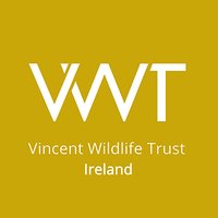 VWTIreland(@VWTIreland) 's Twitter Profile Photo