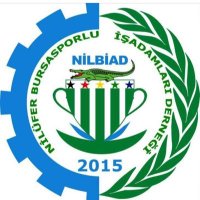 Nilüfer Bursasporlu İşadamları Derneği - NİLBİAD (@nilbiad) Twitter profile photo