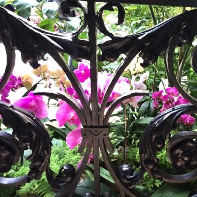 englemary711's profile picture. wife of photo man Doug, Amah to Mason (and Lily our basset), known as The Oracle.