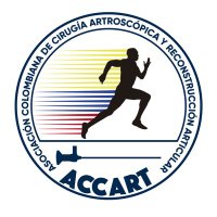 Accart (@soy_accart) 's Twitter Profile