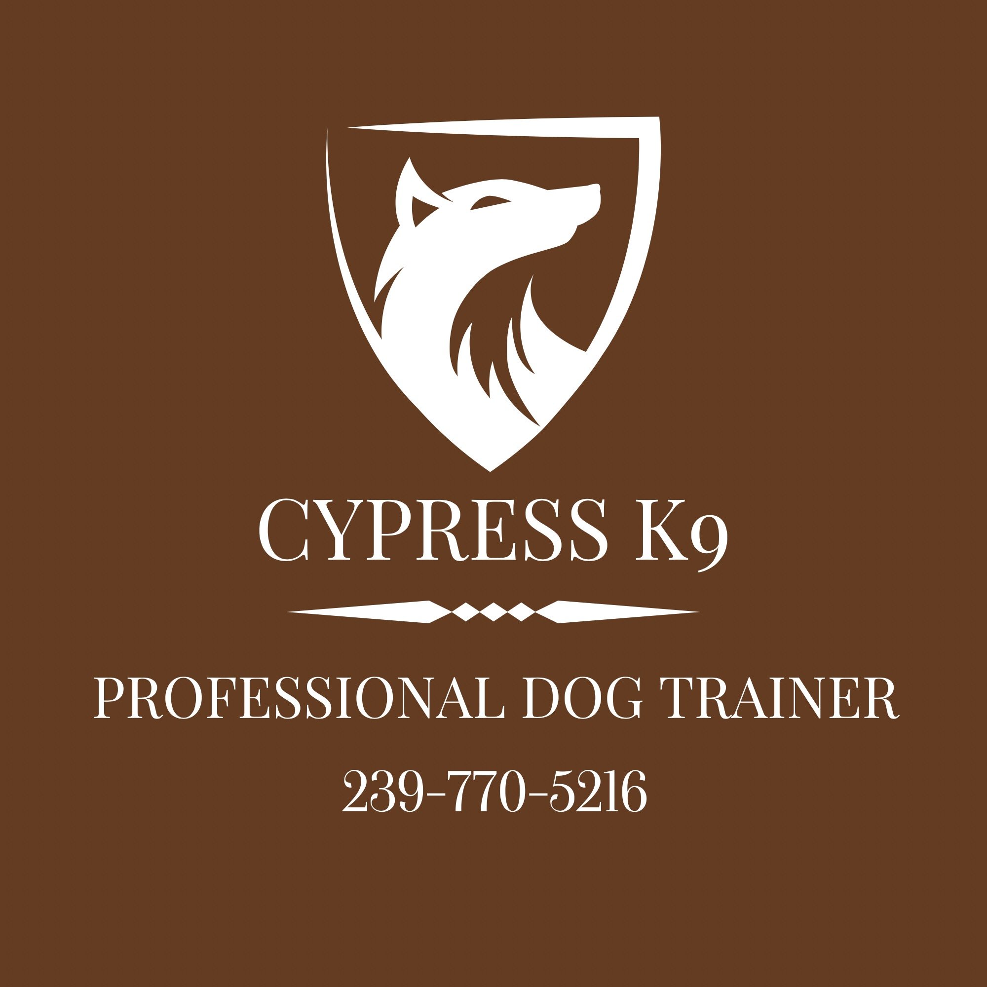 My goal as a professional trainer is to work with you to gain a clear understanding of what you are needing from your dog.