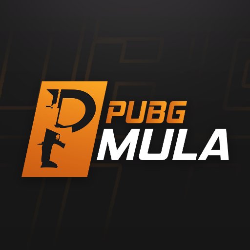 pubgmula's profile picture. The best site for affiliate codes in PUBG