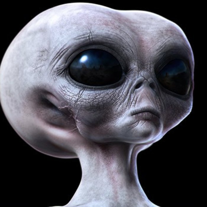 artofakenews's profile picture. You know the news is fake.