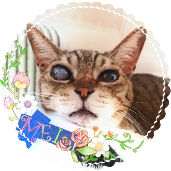 メイさんのプロフィール画像