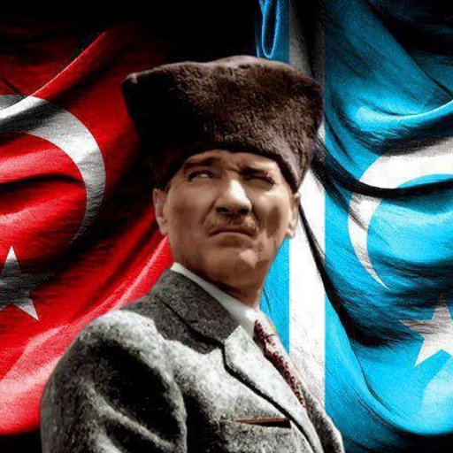 Türk Milliyetçisi.