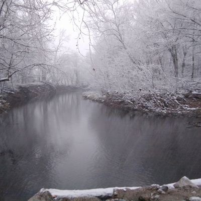 GriffittStacey's profile picture. Veteran