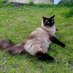 Alice Pennicott-Fisher (@alicepfisher) Twitter profile photo Alice Pennicott-Fisher (@alicepfisher) Twitter profile photo