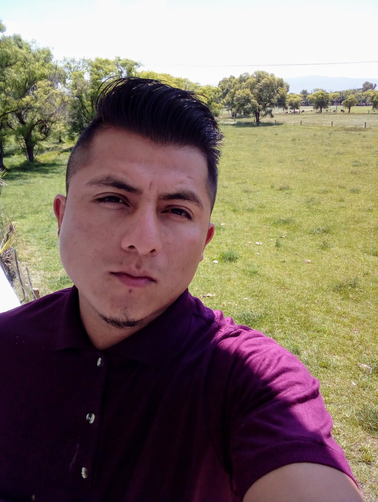 Gustavo83677939's profile picture. 