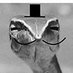 Noodle Dragon (@frostyjdog) Twitter profile photo Noodle Dragon (@frostyjdog) Twitter profile photo