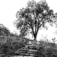 Fort Negley Park, a UNESCO Site of Memory(@FortNegley) 's Twitter Profile Photo