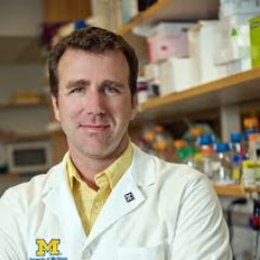 Peter K Todd MD/PhD Lab @Umich. We study how short tandem repeats impact neuronal function and human disease. Ataxia, ALS/FTD, Fragile X/FXTAS, CANVAS.