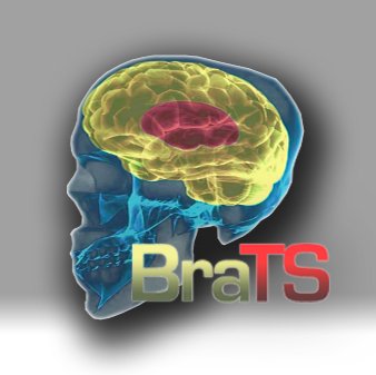 Official page of the International BraTS challenge.