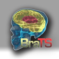 BraTS(@BraTS_challenge) 's Twitter Profile Photo