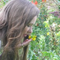 Lisa Stice - @LisaSticePoet Twitter Profile Photo