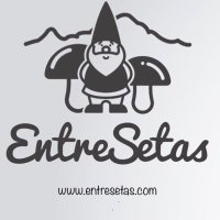 EntreSetas(@EntreSetas) 's Twitter Profile Photo