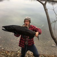 Jlfouds (@jlfouds) 's Twitter Profile