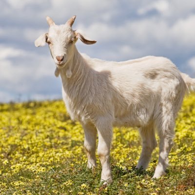 lifeofbenNjord's profile picture. Everyday life of Ben and Jordan, nothing special just boys being boys.