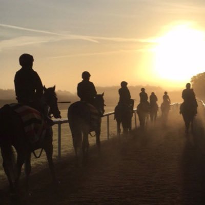 Welcome to the official account of Ballydoyle, the racing arm of Coolmore Stud & home to Champion trainer Aidan O’Brien