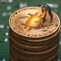 asicminer538's profile picture. 