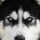 ___husky's profile picture. 二児の母 /☃️🖤/パニック克服中