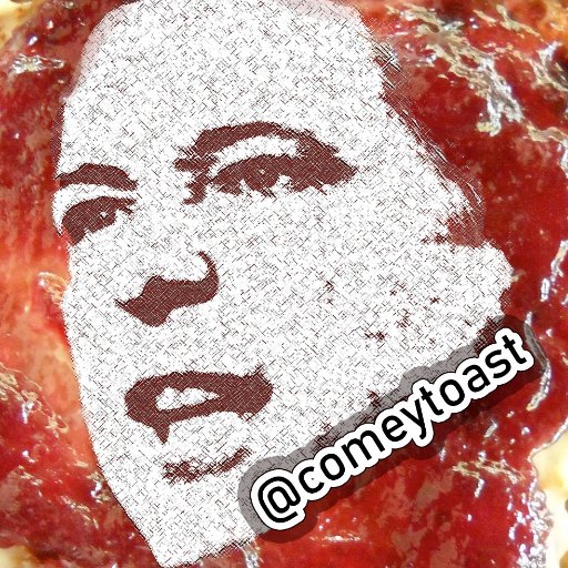 COMEYTOAST: 🇺🇸MAGA #Trump2020 #TrumpistheWall #BuildtheWall #ShuttheBorderDown #KAG @hillary4prison #BanAbortion @666obama #Jesus @seanhannity @POTUS