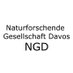 NGDavos (@ngdavos) Twitter profile photo NGDavos (@ngdavos) Twitter profile photo