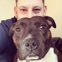 Lee Alexander (@leebo_alex) 's Twitter Profile