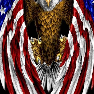 TheAmericanVult's profile picture. GG