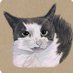 Spike & Clement (@nestoriouscat) Twitter profile photo Spike & Clement (@nestoriouscat) Twitter profile photo