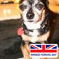 Prudence (@pru_the_firedog) 's Twitter Profile