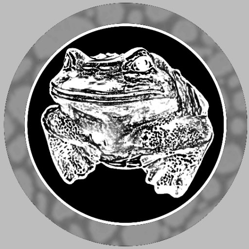 myfroghashat Profile Picture