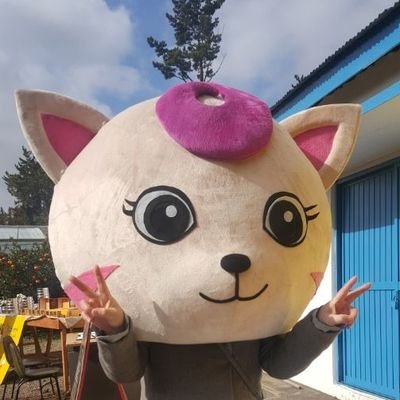 zzzjinhee Profile Picture