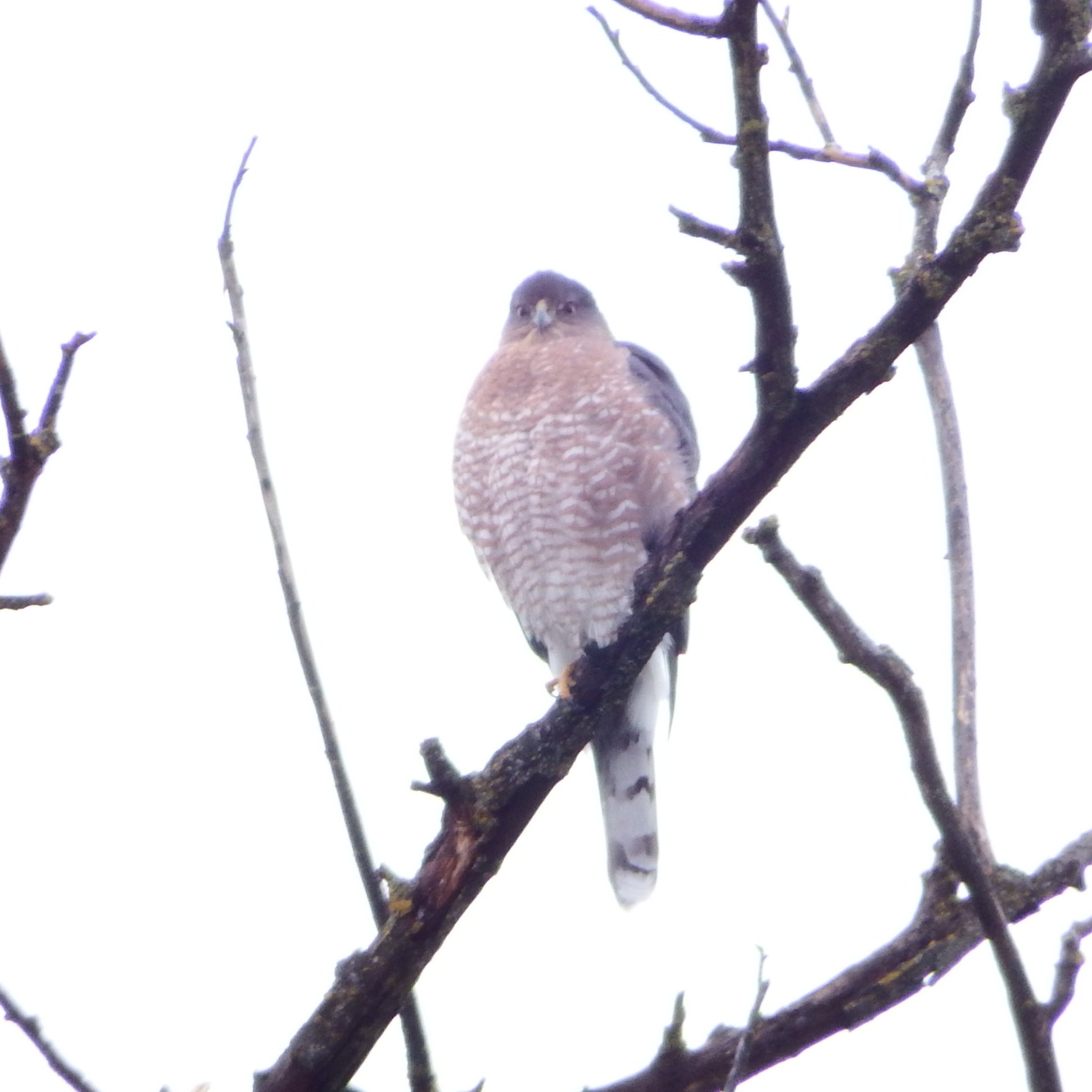 jamesshaw08's profile picture. 