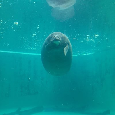 summer_Vlog10's profile picture. CS Apex/valorantやってます〜エンジョイ勢です、よろしくお願いします🤲 シンプルなパチンカスです。