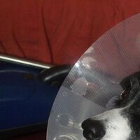 Matt Gordon #FE (@mattgordonncc) 's Twitter Profile Photo