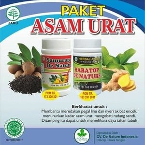 Jual Obat Asam Urat Herbal De Nature Asli. Kontak kami 081-238-199-078 / WA: 087-719-962-236