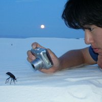 Kojun Kanda (@kogent_musings) 's Twitter Profile