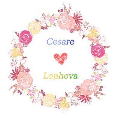 Lophva ♥️ Cesare Wedding