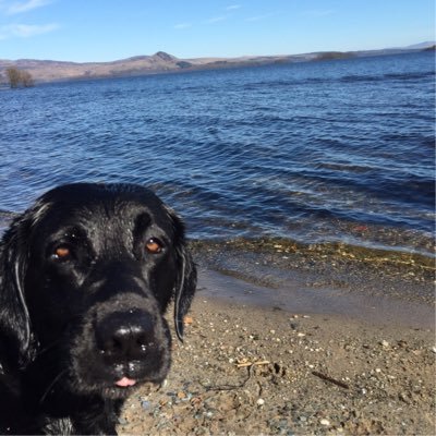 dmac35893561's profile picture. Scottish but not the SNP type.. 🏴󠁧󠁢󠁳󠁣󠁴󠁿🇬🇧😉