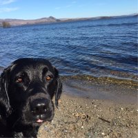 Lulach1 (@dmac35893561) 's Twitter Profile Photo