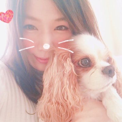 Wacoogawa 里親募集 首都圏 ブレンハイム オス 9歳くらい リアム 拡散歓迎 キャバリア ニコラ様 ご奉仕日記 T Co 7vdpkulva7
