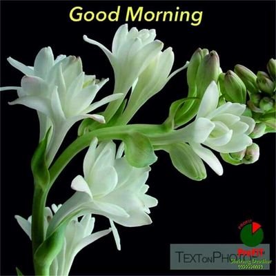 AnandTi84190581's profile picture. Hindi Music News Hindi Music Breaking News Women Government & Public Utilities