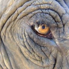 Openfuture2d's profile picture. 