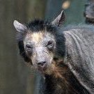 laurenzwalue's profile picture. yoooo